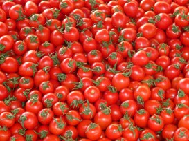 tomatoes-73913_1280-2